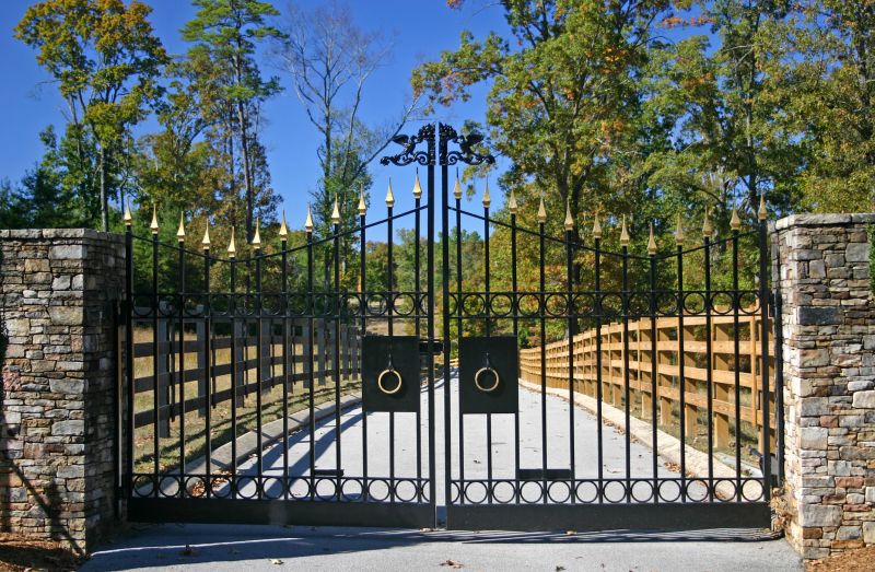 Elegant Iron Driveway Gate